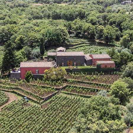 Terrazze Dell'Etna - Country Rooms And Apartments Рандацо Екстериор снимка