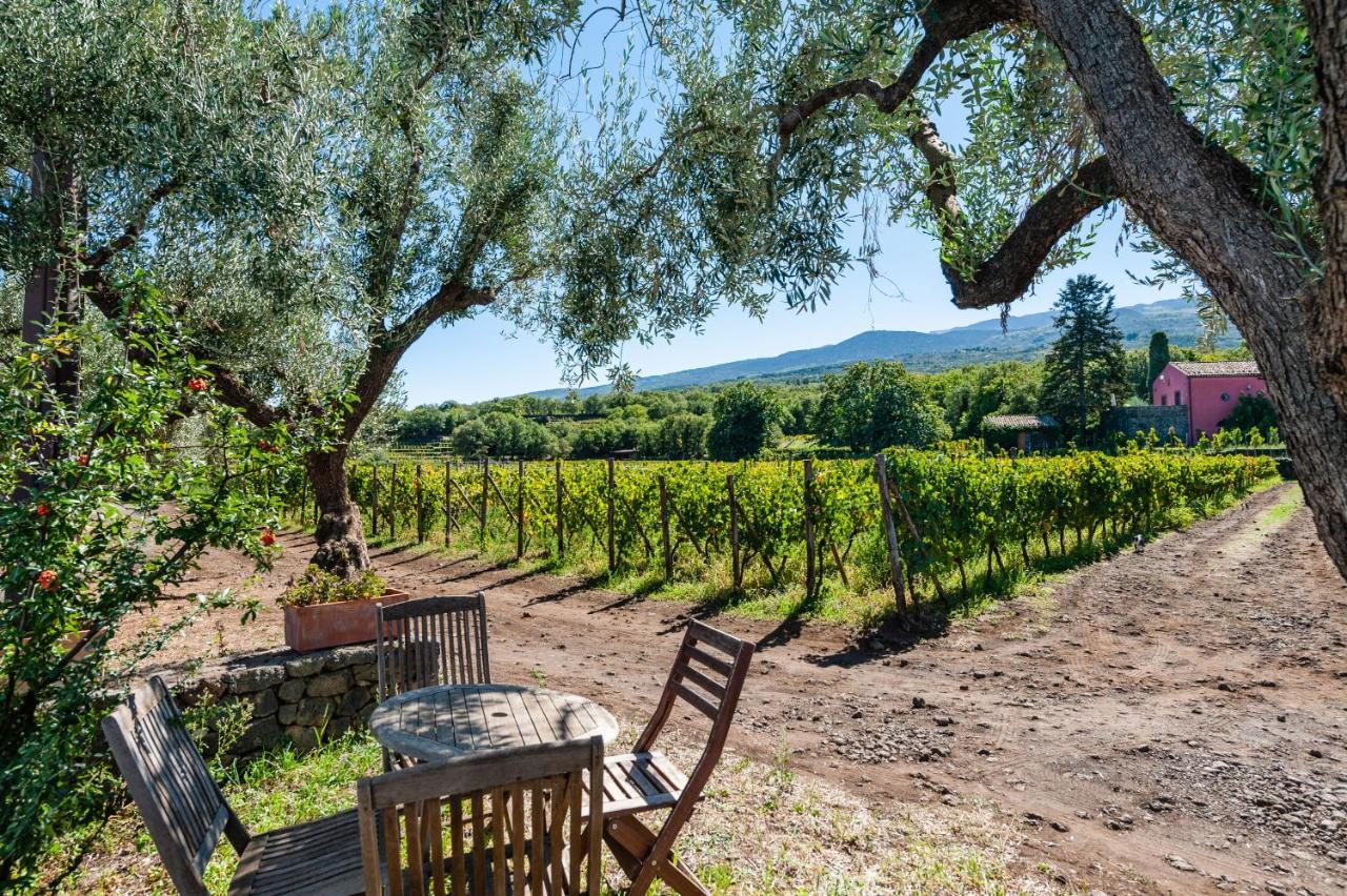 Terrazze Dell'Etna - Country Rooms And Apartments Рандацо Екстериор снимка