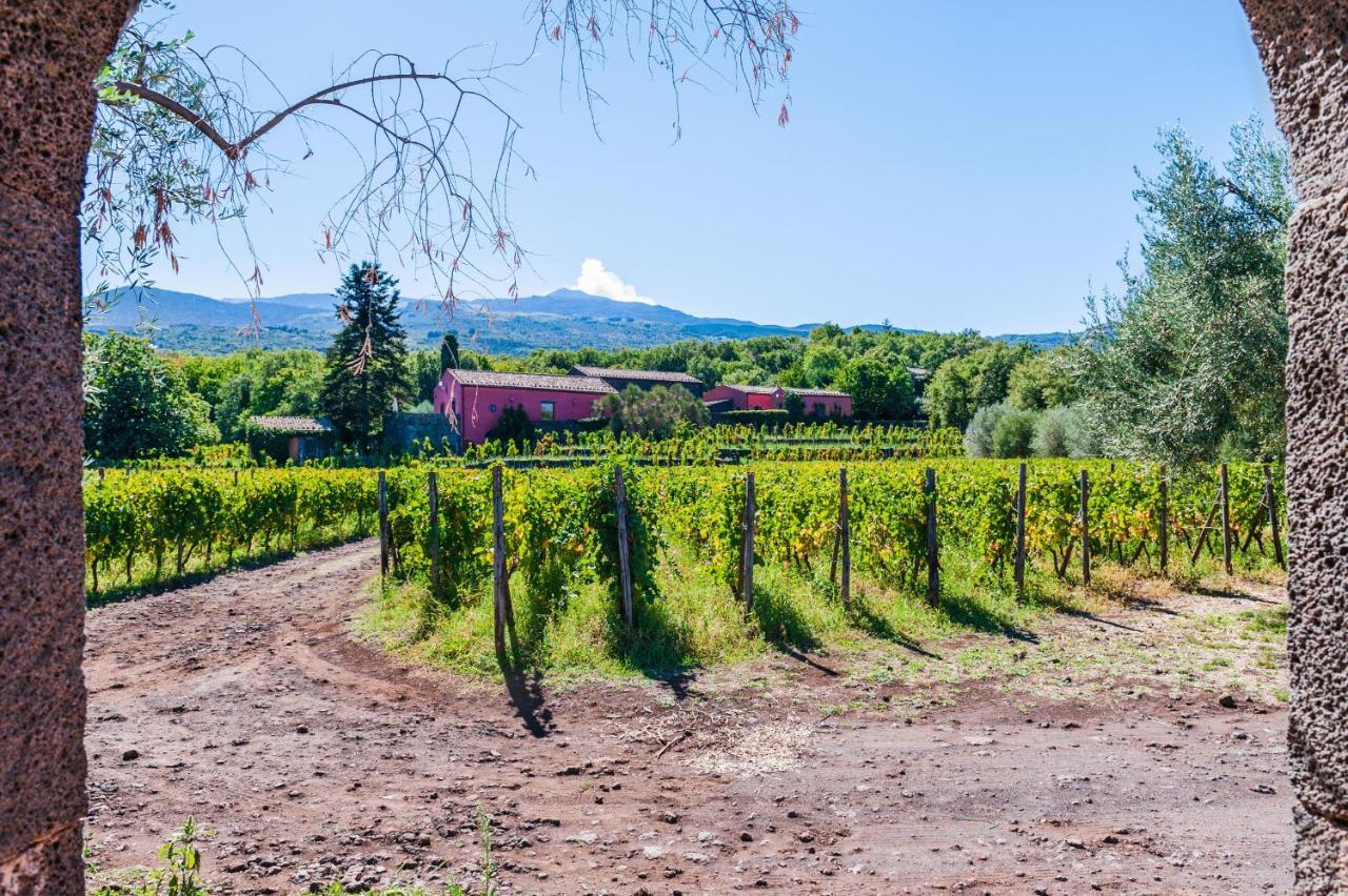 Terrazze Dell'Etna - Country Rooms And Apartments Рандацо Екстериор снимка