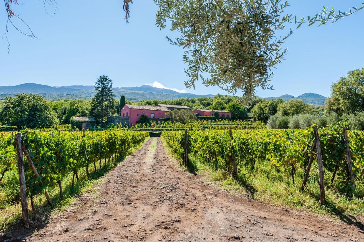 Terrazze Dell'Etna - Country Rooms And Apartments Рандацо Екстериор снимка