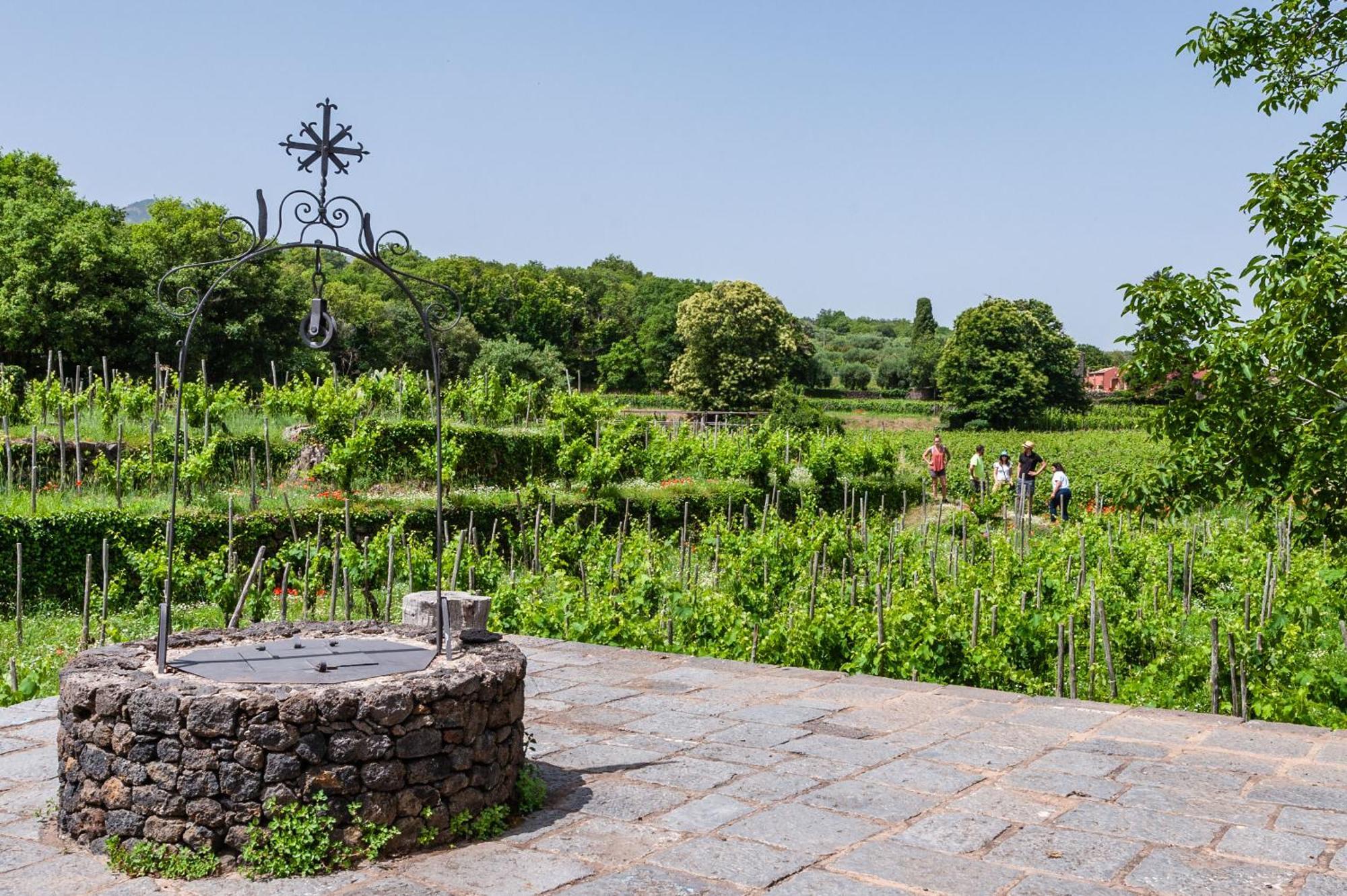 Terrazze Dell'Etna - Country Rooms And Apartments Рандацо Екстериор снимка