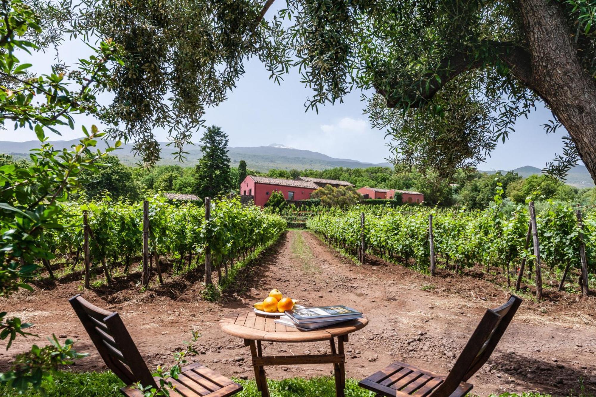 Terrazze Dell'Etna - Country Rooms And Apartments Рандацо Екстериор снимка